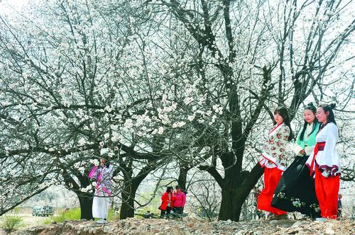 苦力王直播NBA 篮球盛宴